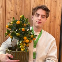Guido Veenstra