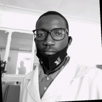 Phil Elasto Nsokolo