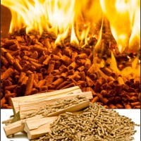 Moscato Legna Da forno