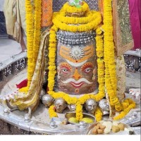 AMIT CHOPRA