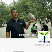 王明全