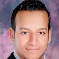 Alaa Abd El-Kareem