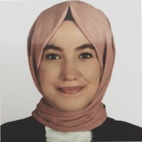 Sevde Demirtaş