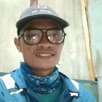 niko panjaitan