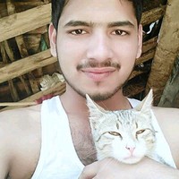 Narendra Joshi