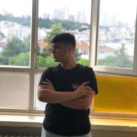 Taha Engin Batum