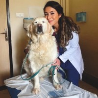 Dr. Emine Merve Alan