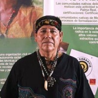 Martin Huaypuna Flores