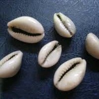 Mouhcine Marzouk