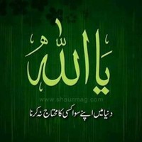 Ayesha Aysh