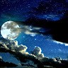 Moon Arts