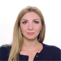 Salminka Vizin