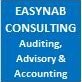 Easynab Consulting