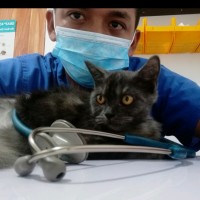 Cortez  Rieve Aballe