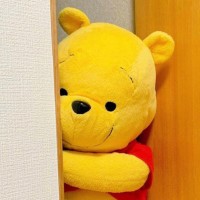 程Vivian