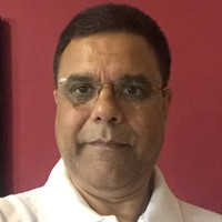 Partha S Banerjee