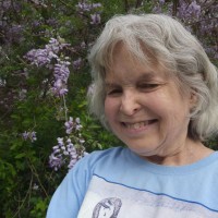 Deborah Willard