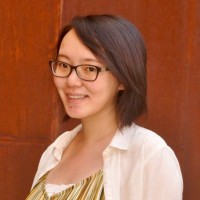 Ding Fei
