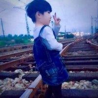 张志鹏