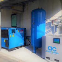 MICHELE PIERDOMINICI