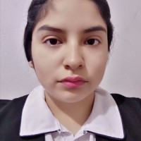 GRACIELA MARISOL PAREDES HERRERA