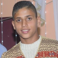 Mostafa Habshi