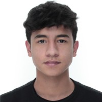 Johan Sebastian Tafur Torres