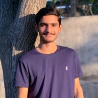 Anas Majeed