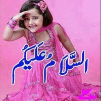 Zulfi Qar