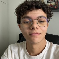 Paulo Guilherme Santos Alves