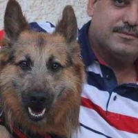 Fady henry