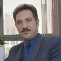 Ali Mohsenian