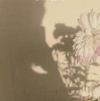 وداد العميري
