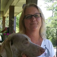 Beth Fisher