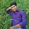 Arru Purma