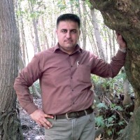 Sardar saeed Information System Engineering