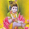 Piyush Sindha