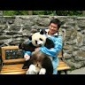 Paul Wing Fai Cheung