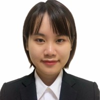 Viet Ha Nguyen