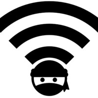 Network Ninja
