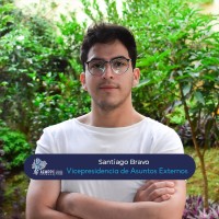 Santiago Vladimir Bravo Jaramillo