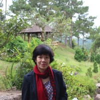 DO THI THANH VINH