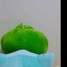 배재식