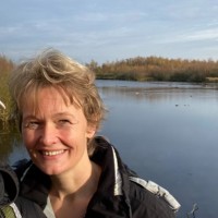 Ina Wasseveld