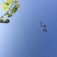 包康君