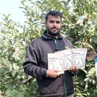 Neetesh Dhakad