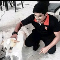 Ravi Gowda