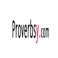 Prover bsy
