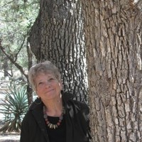 Paula Mattson