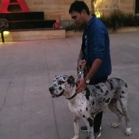 Deepak Mewada